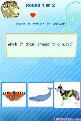 Animal Life - North America (Europe) (En,Fr,De,Es,It) (NDSi Enhanced) screen shot game playing